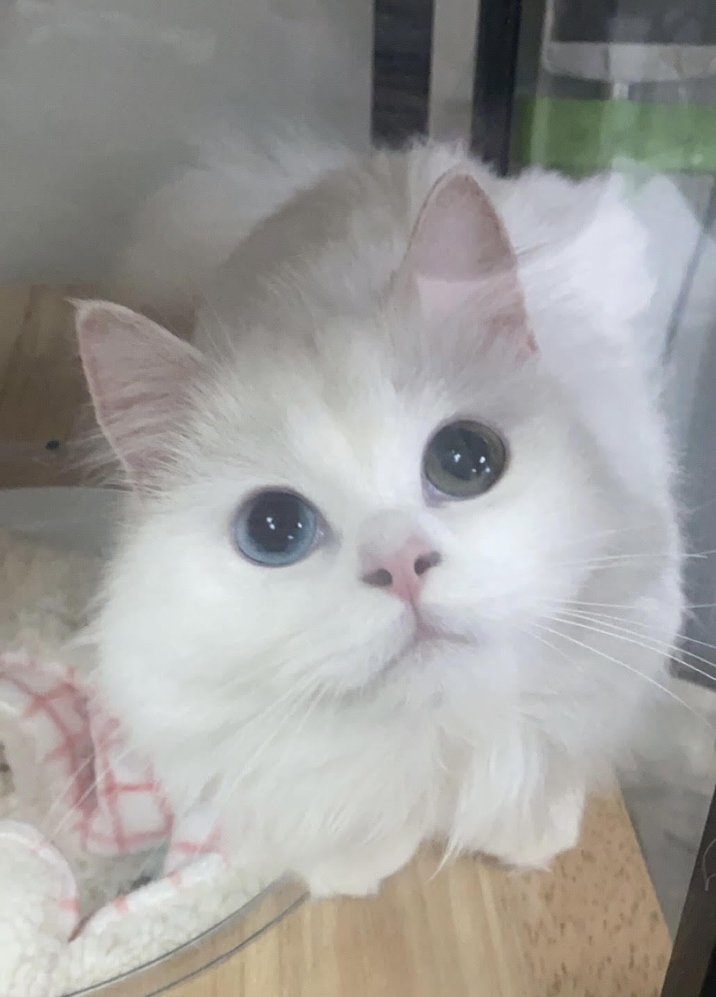 My archive photograph